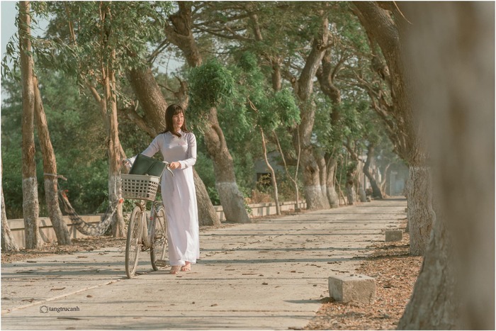 Hàng cây còng nổi tiếng của chùa Hàng Còng An Giang