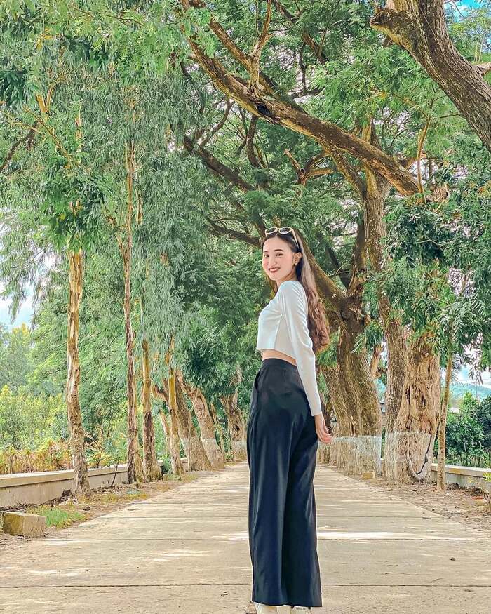 Hàng cây còng nổi tiếng của chùa Hàng Còng An Giang