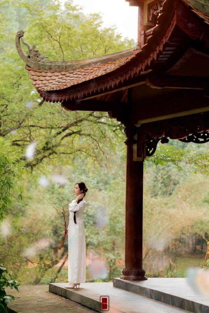 Chùa Từ Hiếu Huế Chùa Từ Hiếu Huế