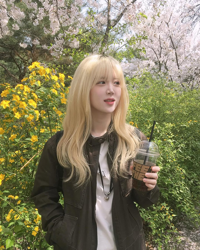 Khám phá vẻ đẹp của công viên Yeouido hàn quốc