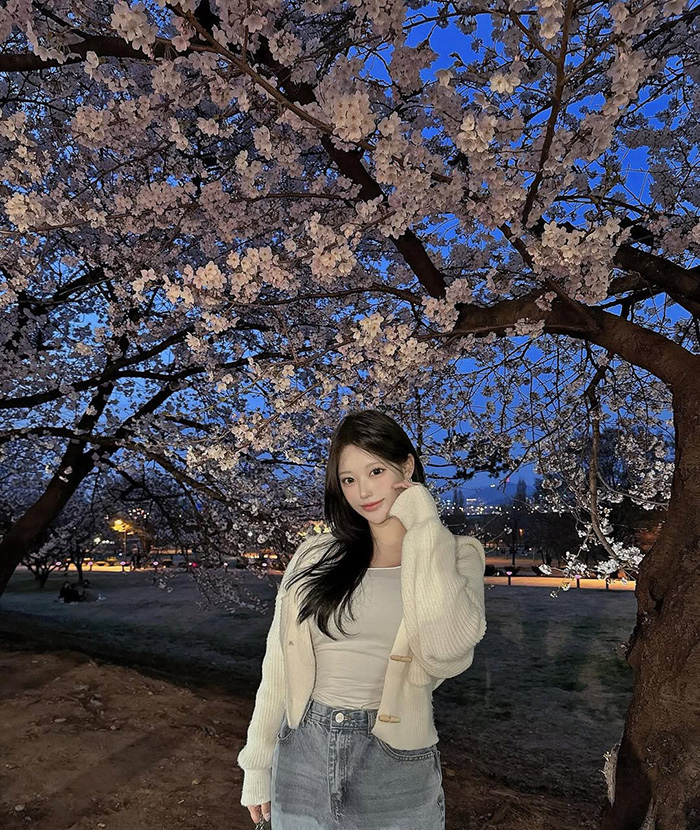 Di chuyển bằng xe đạp hoặc đi bộ tới công viên Yeouido hàn quốc