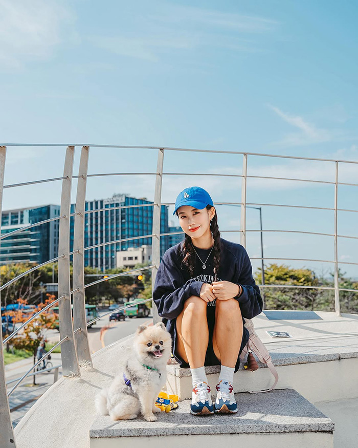 Mùa hè (tháng 6 – tháng 8) ở công viên Yeouido hàn quốc