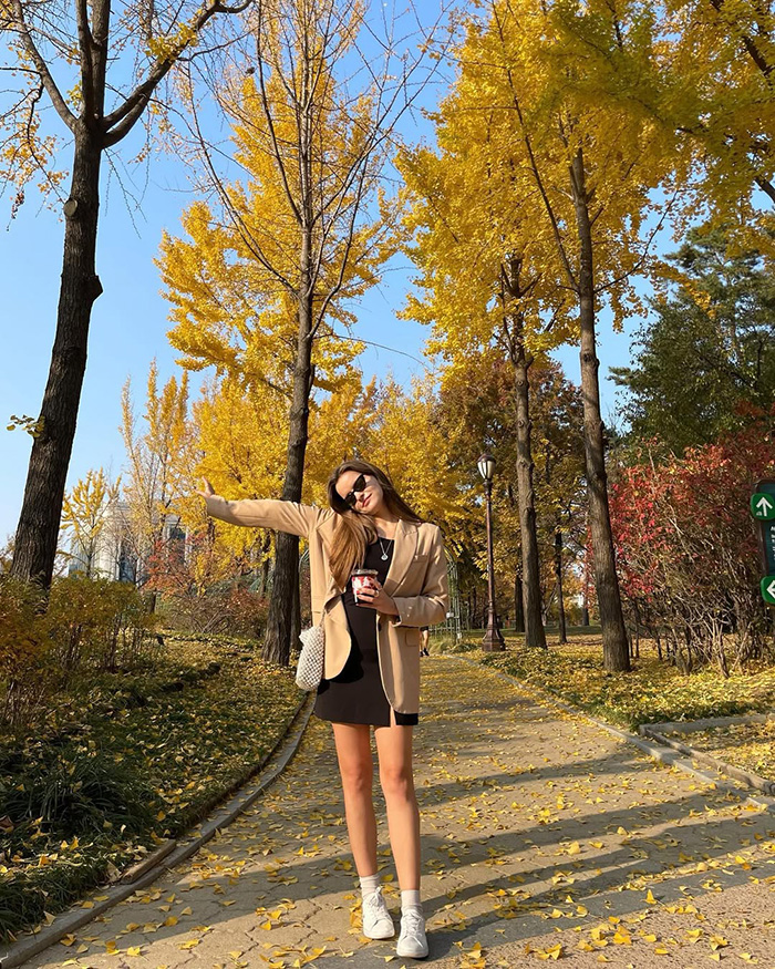 Mùa đông (tháng 12 – tháng 2) tại công viên yeouido hàn quốc