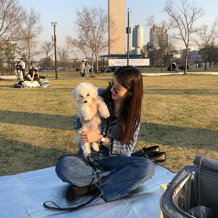 Mùa thu (tháng 9 – tháng 11) tại công viên Yeouido Hàn Quốc