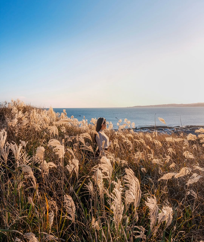 Di chuyển bằng taxi đến đồi Seopjikoji hàn quốc