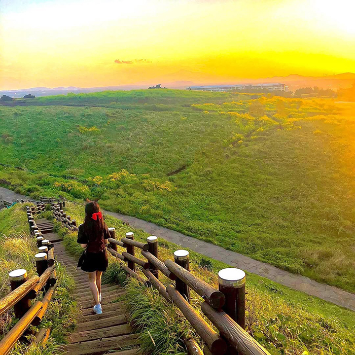 Khám phá nhiều địa điểm thú vị tại đồi Seopjikoji hàn quốc