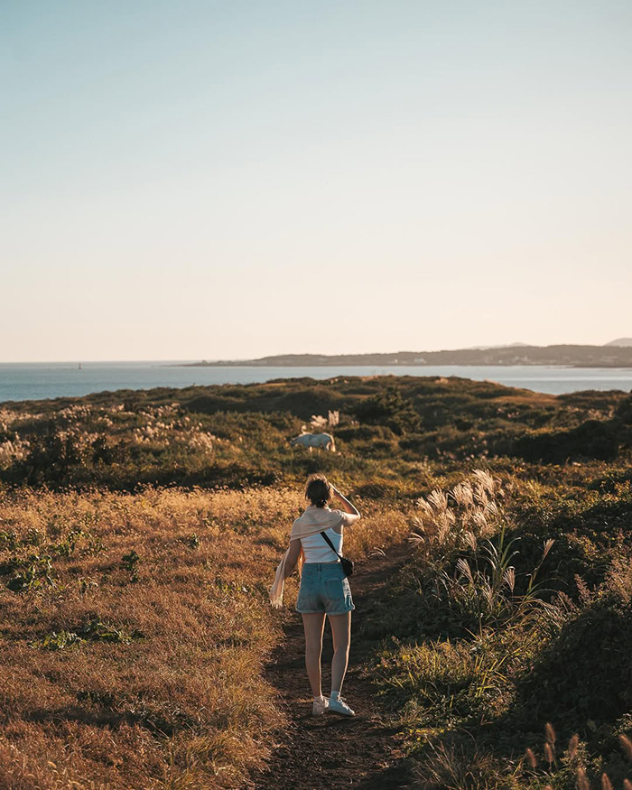 Mùa hè (tháng 6 - tháng 8) – Bầu trời trong xanh, biển rực rỡ tại đồi seopjikoji hàn quốc