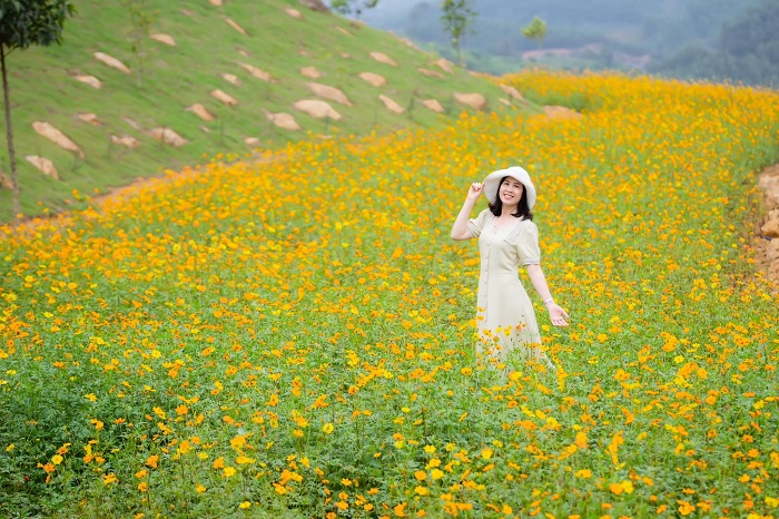 Nhớ ghé địa điểm dã ngoại ở Thanh Hóa Golden Cow trong chuyến đi tới