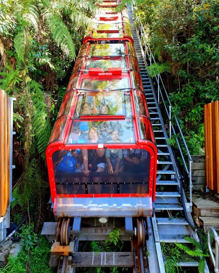  Trải nghiệm đi tàu khám phá khu bảo tồn thiên nhiên Blue Mountain Úc