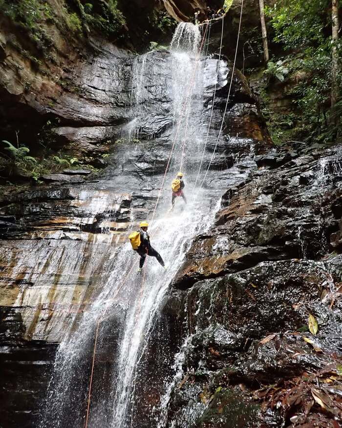  Trải nghiệm leo núi khám phá khu bảo tồn thiên nhiên Blue Mountain Úc