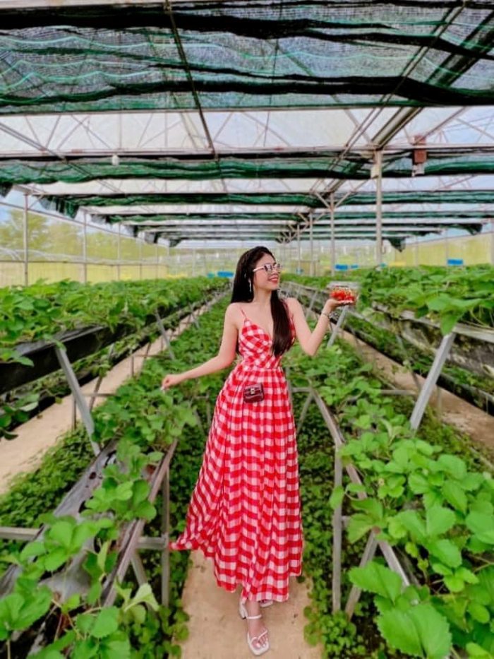 Kinh nghiệm du lịch cao nguyên Vân Hòa Phú Yên