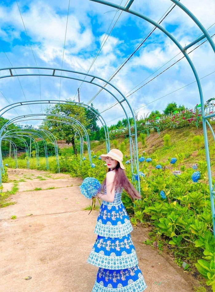 Kinh nghiệm du lịch cao nguyên Vân Hòa Phú Yên