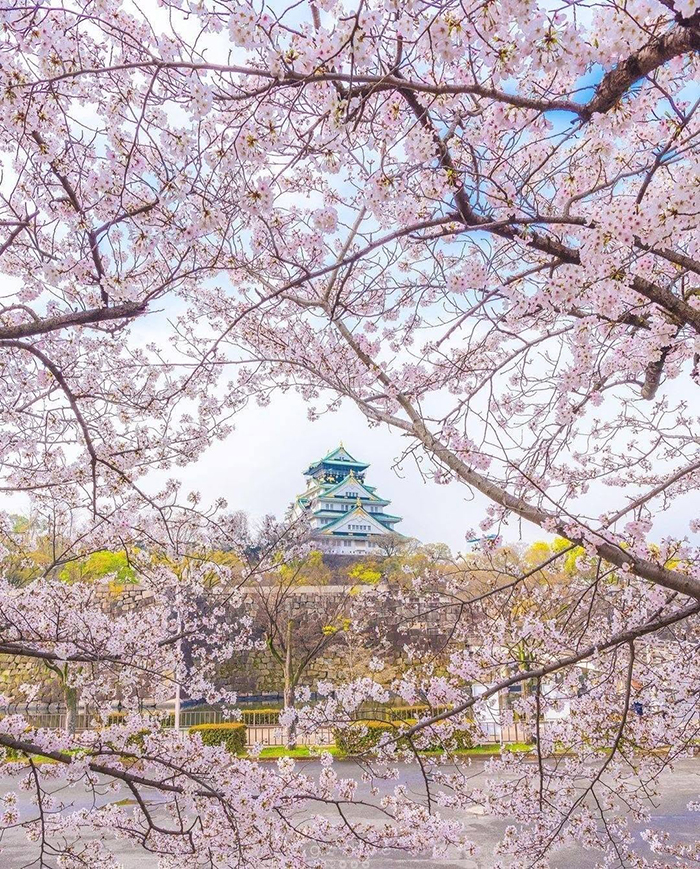 Khám phá lịch sử lâu đài osaka nhật bản