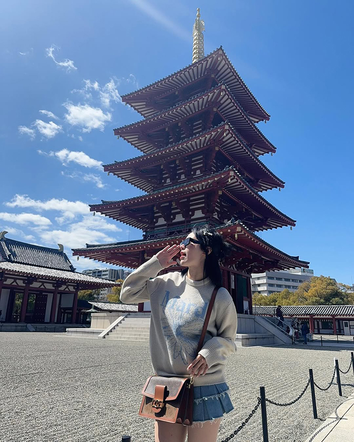 Mùa đông (tháng 12 – tháng 2): Vẻ đẹp huyền bí trong tuyết trắng tại lâu đài osaka nhật bản