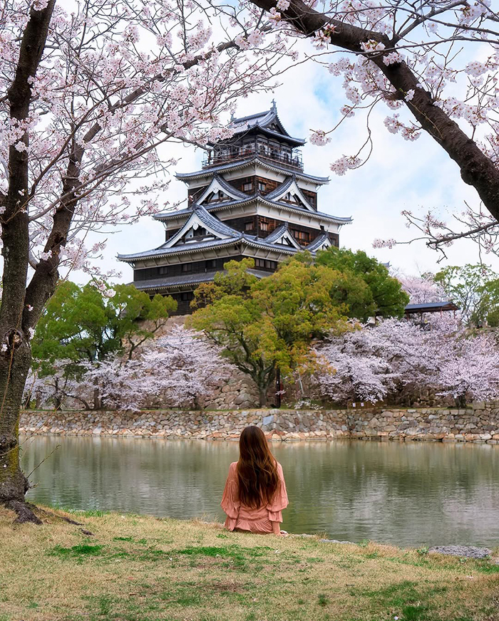 Mùa xuân (tháng 3 – tháng 5): Mùa hoa anh đào rực rỡ tại lâu đài osaka nhật bản