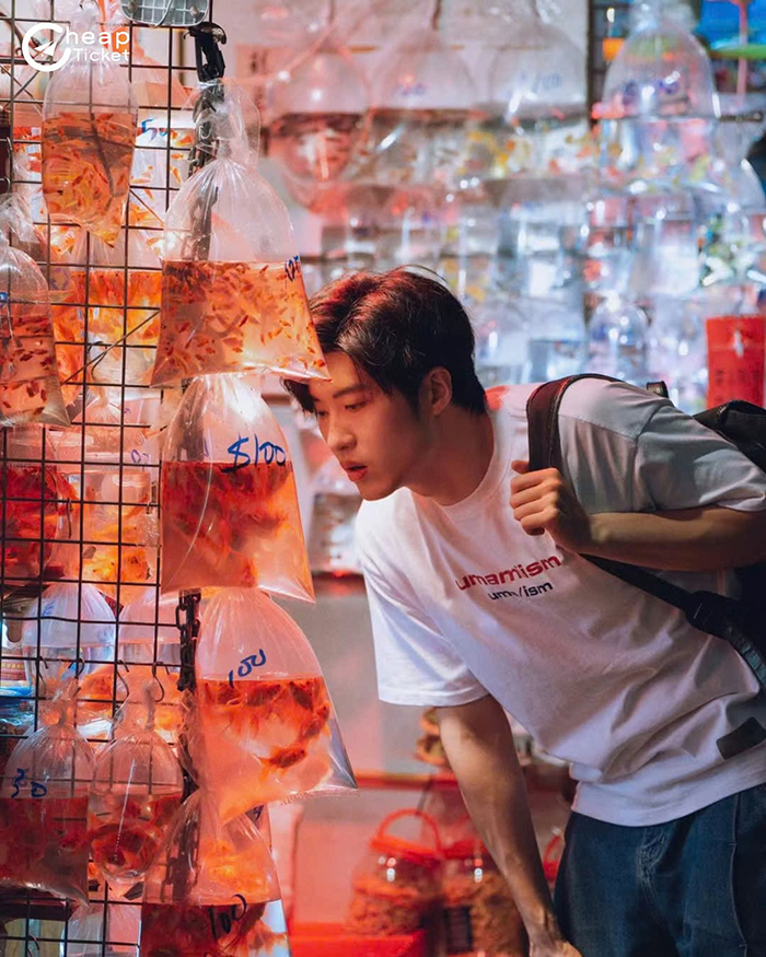 Goldfish Market (Chợ cá vàng) tại Mong Kok Hồng Kông