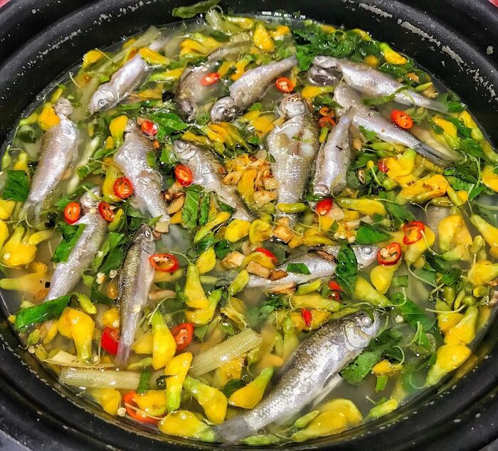 Theo chân người dân đi câu cá lớn ở sông Vàm Nao An Giang