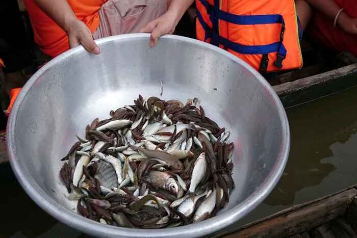 Theo chân người dân đi câu cá lớn ở sông Vàm Nao An Giang