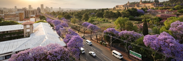 Thời điểm du lịch thành phố thủ đô Pretoria Nam Phi lý tưởng là mùa xuân