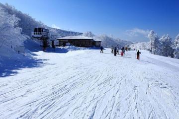 Khám phá vùng đất hồi sinh đầy mê hoặc trong cẩm nang du lịch Fukushima
