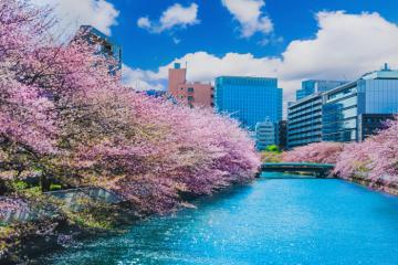 Khám phá xứ sở tuyết trắng và táo đỏ qua cẩm nang du lịch Aomori