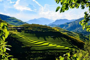 Bỏ túi cẩm nang du lịch Điện Biên với 13 địa điểm ăn chơi thú vị