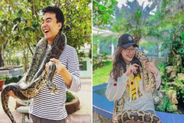 [Cập nhật] Tham quan trại rắn Đồng Tâm Tiền Giang Đồng Tháp – ‘Vương quốc rắn’ lớn nhất tại miền Tây