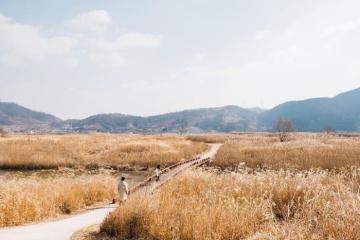 Khám phá vịnh Suncheon Hàn Quốc - Viên ngọc xanh của xứ sở Kim Chi