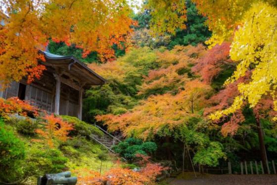 Khám phá "Thiên đường ẩn mình" trong cẩm nang du lịch Fukui