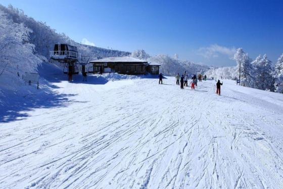 Khám phá vùng đất hồi sinh đầy mê hoặc trong cẩm nang du lịch Fukushima
