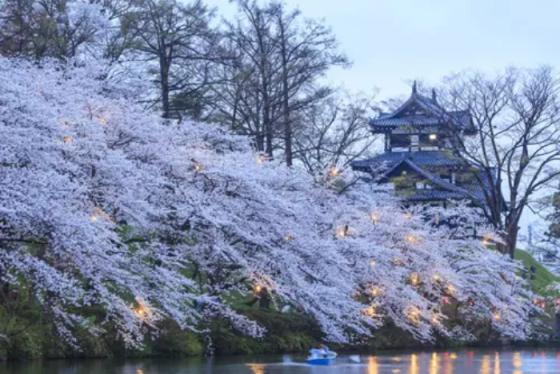 Tận hưởng tuyết trắng và rượu sake trứ danh trong cẩm nang du lịch Niigata Nhật Bản