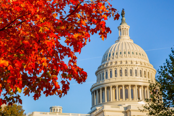 Cẩm nang du lịch Washington - khám phá thủ đô Hoa Kỳ như dân bản địa