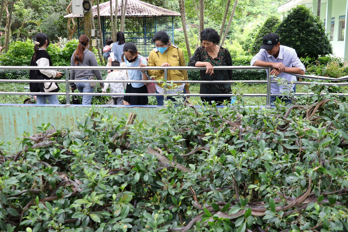 Tham quan trại rắn Đồng Tâm Tiền Giang