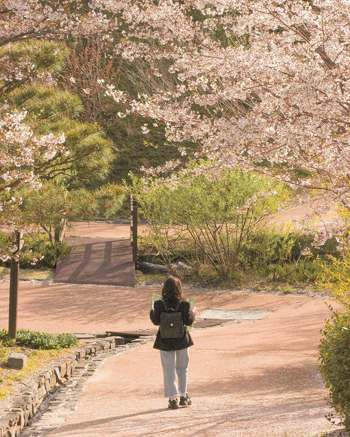 Khám phá thiên nhiên tuyệt đẹp tại vịnh Suncheon hàn quốc