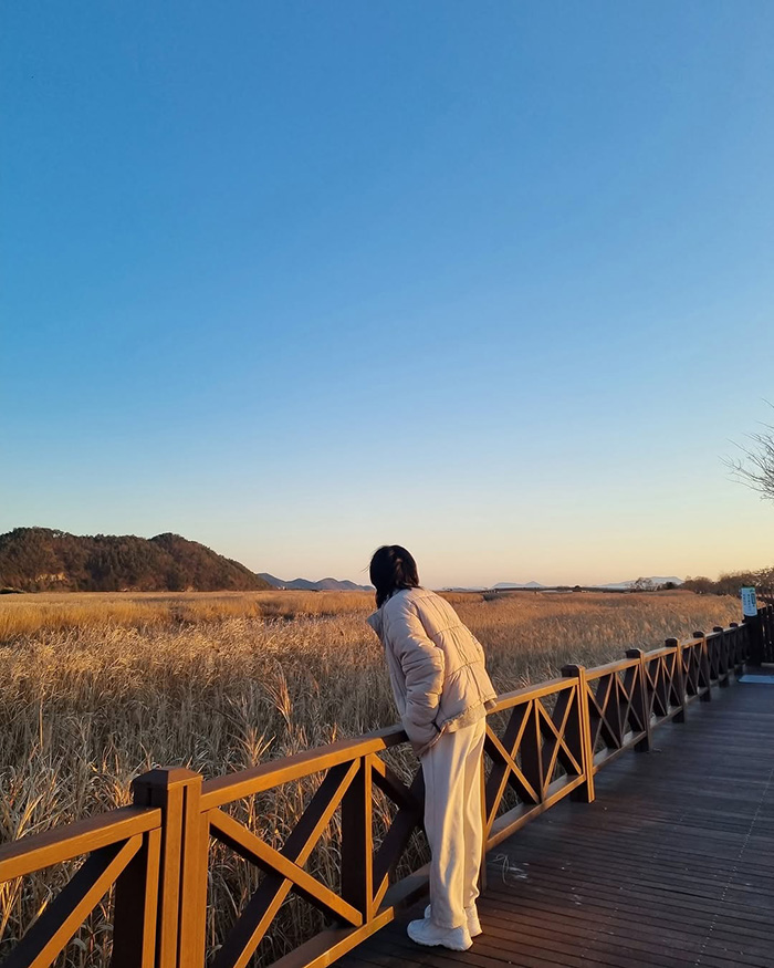 Mùa đông (tháng 12 – tháng 2) tại vịnh suncheon hàn quốc