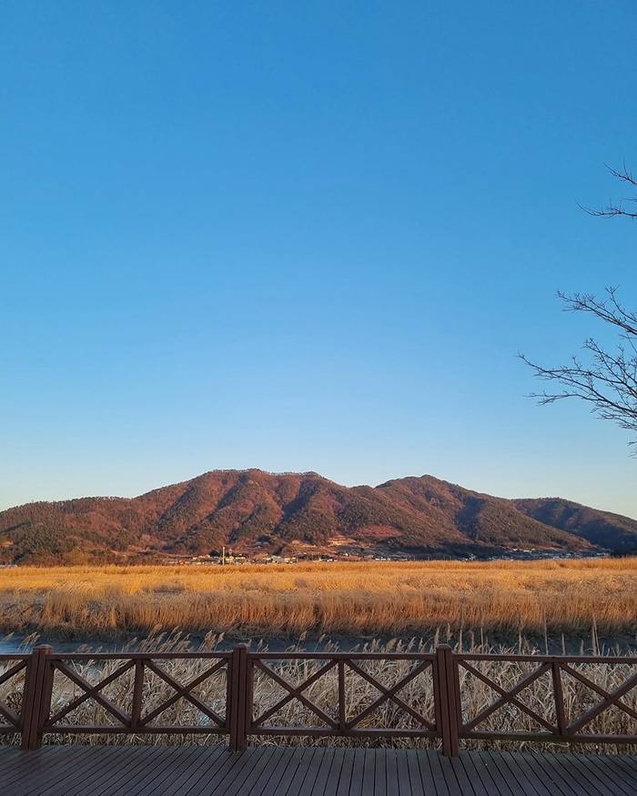 Ghé thăm địa điểm du lịch thú vị tại vịnh suncheon hàn quốc