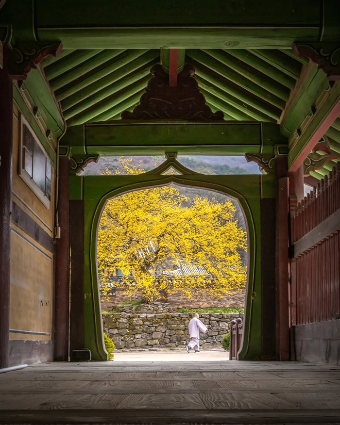 Chùa Songgwangsa tại vịnh Suncheon hàn quốc