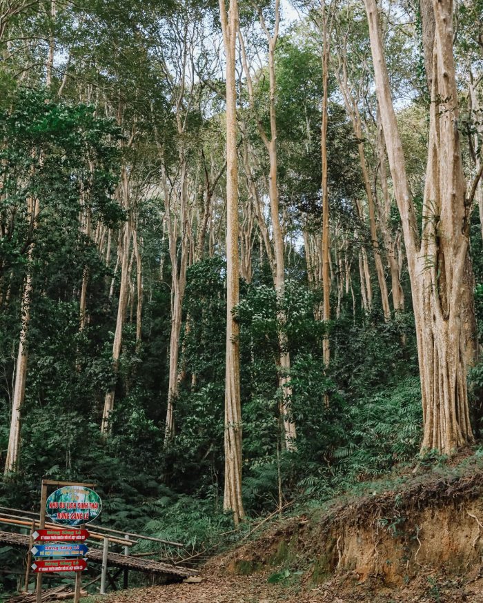 bảo tàng Vườn quốc gia Pù Mát 