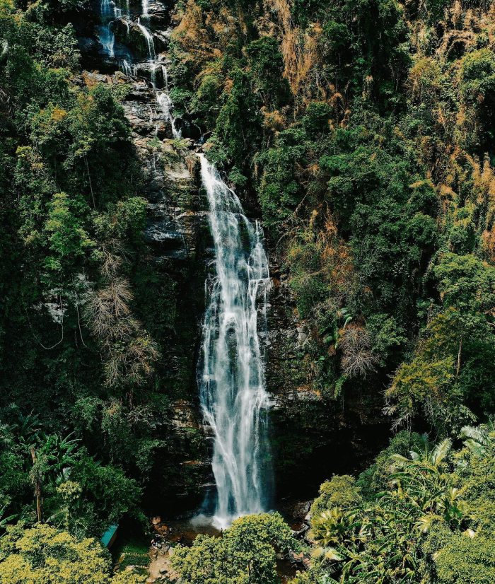 Vườn quốc gia Pù Mát 