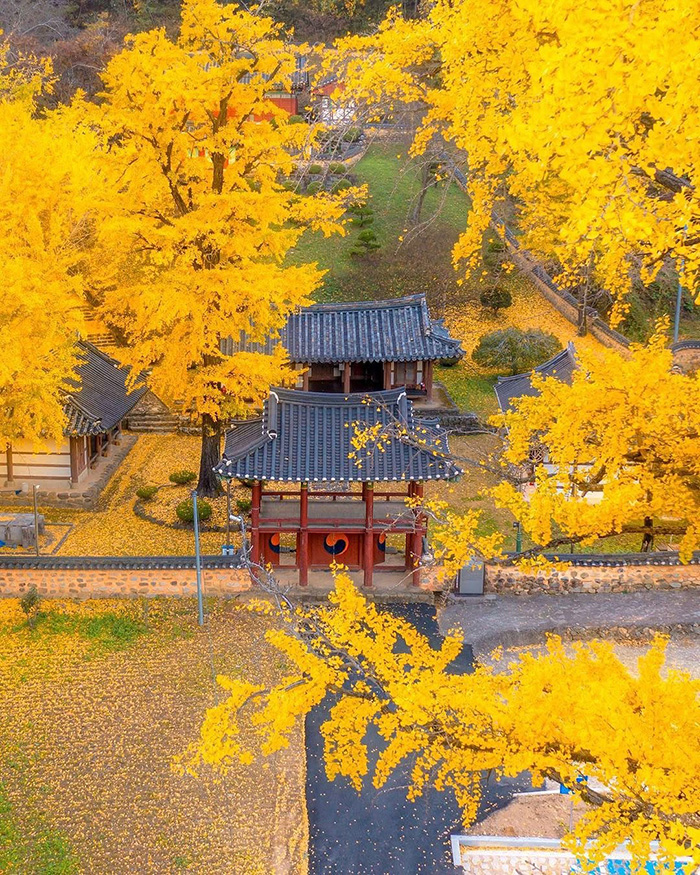 Di chuyển bằng xe buýt tới vườn quốc gia Seaoraksan Hàn quốc