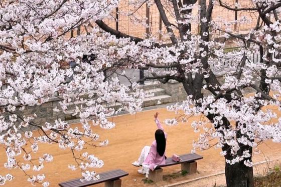 Khám phá 3 tour du lịch Hàn Quốc từ Hà Nội giá tốt nhất 2026