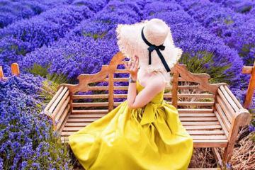 Loạt điểm check in cực đẹp ở Đà Lạt đang 'hot rần rần'