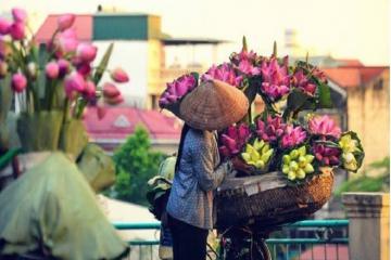 Việt Nam mộc mạc và dung dị dưới lăng kính quốc tế