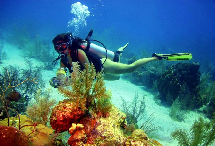 Bãi biển Boca Chica nằm trong danh sách các điểm lặn biển tuyệt vời nhất Texas với vị trí ngay gần Mexico