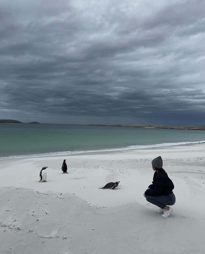 Tham quan bãi San Carlos khi du lịch quần đảo Falkland