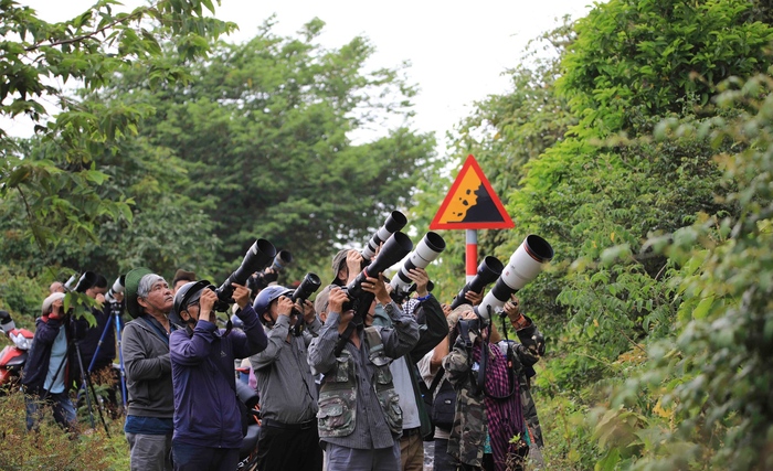 các nhiếp ảnh gia săn mùa hoa thàn mát bán đảo Sơn Trà