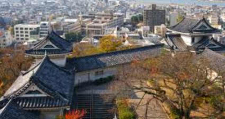 Khám phá thiên đường Wakayama - một trong những điểm đến tuyệt vời tại Nhật Bản