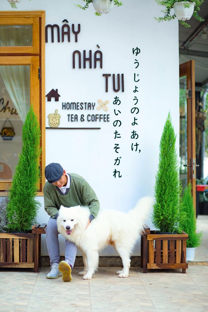 Đồi Dã Chiến Đà Lạt Mây Nhà Tui 