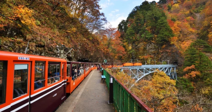 Cẩm nang du lịch Toyama gợi ý tuyến tàu Kurobe Gorge Railway với trải nghiệm thú vị