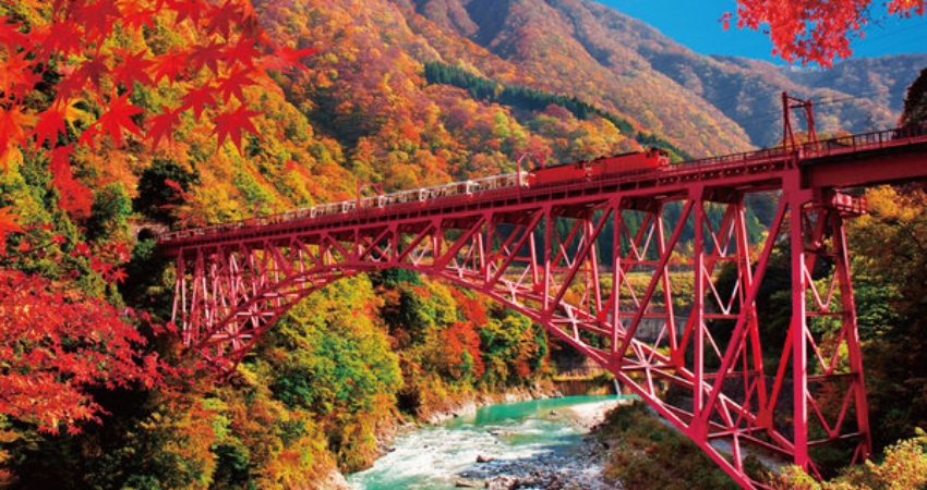 Tận hưởng thiên nhiên và khí hậu đặc trưng của Toyama, Nhật Bản.